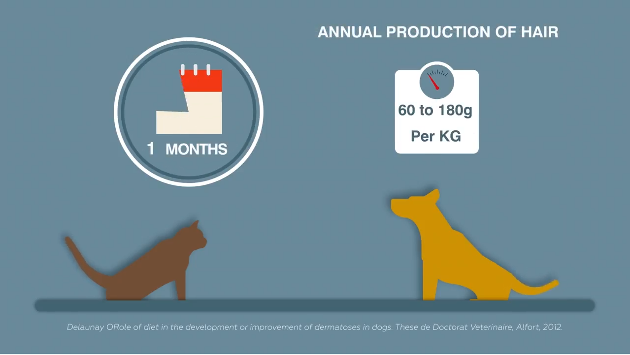 OPRETHOLDELSE AF HUD OG PELS